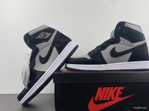 DZ2523-001 Twist 1 High 2.0 OG Air WMNS Jordan 1110